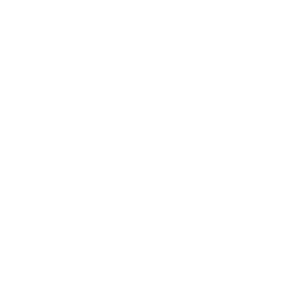 fetch_image