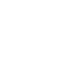Fizzical