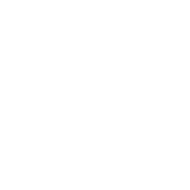 overt_image